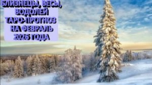 БЛИЗНЕЦЫ,  ВЕСЫ, ВОДОЛЕЙ ТАРО-ПРОГНОЗ НА ФЕВРАЛЬ 2026 ГОДА