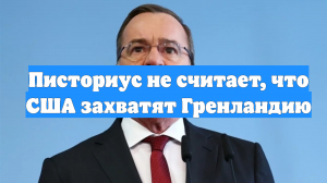 Писториус не считает, что США захватят Гренландию