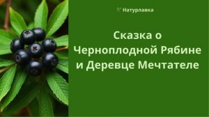 Сказка о Черноплодной Рябине и Деревце-Мечтателе.
