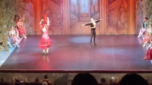 VID2026 Сегодня я был на Балете Лебединое озеро