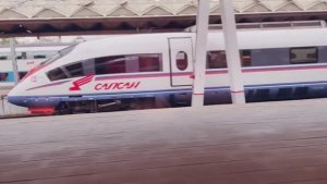 На Сапсане в Санкт-Петербург. Мои осенние выходные. Музыкальное видео