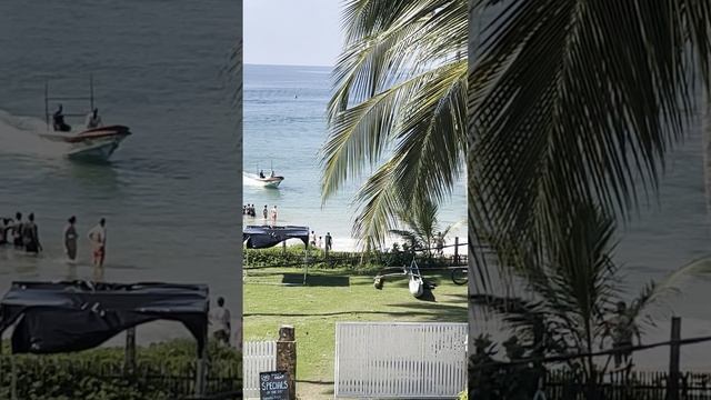 video-output-203B86A8-5345-4025-ABD7-12E29D013277-1 смотреть онлайн