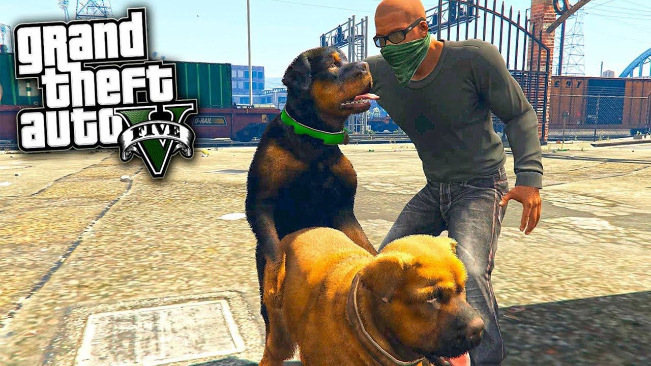 GTA 5 | Злобная псина | Похищение сутенера | 40000 долларов | ЧОП смотреть онлайн