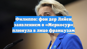 Филиппо: фон дер Ляйен плюнула в лицо французам словами о сделке с Меркосур