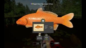 ПРОВЕРКА НА ФАРМ НОВЫХ ТОЧЕК НА МЕДНОМ И ДРУГИЕ ВОДОЕМЫ В РУССКОЙ РЫБАЛКЕ 4 СТРИМ