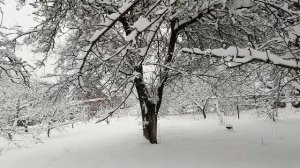 Снежная, гриппозная неделя. Вкусности и  самодельная  лопата.