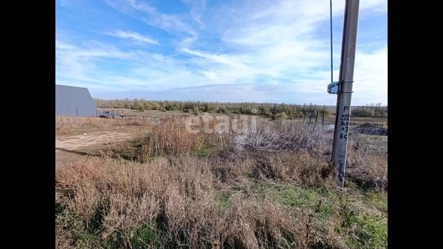 10769187 смотреть онлайн