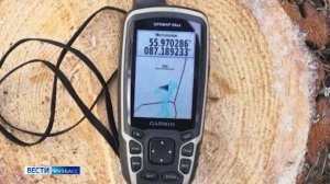 В Ижморском округе нашли и привлекли к ответственности «чёрных лесорубов»