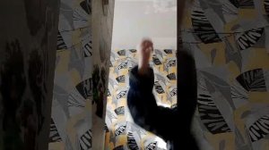 стрим играем в игры