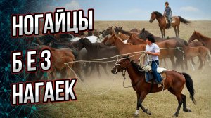 Как появились и куда исчезли ногайцы? А ведь Ногайская орда была сильна и огромна…