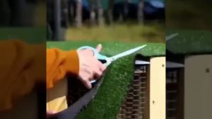 Кроличья нора🐇