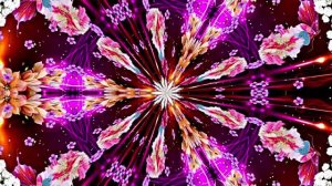 С Днём Рождения! Букеты роз 9 от Киностудии Мудрого Кота Тимофея!