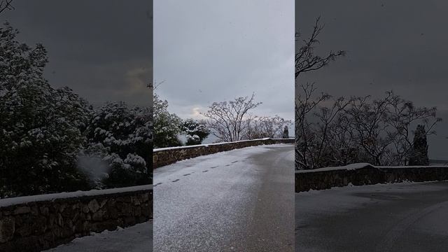 День снежно-коньячного настроения