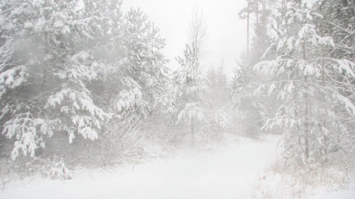 Звуки Сильной Метели Для Сна .Релакс видео. смотреть онлайн
