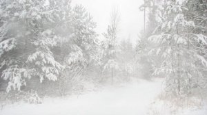 Звуки Сильной Метели Для Сна .Релакс видео.