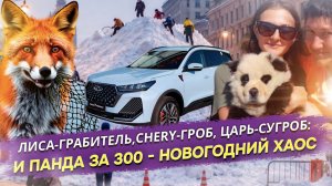 Сугроб-гигант в Москве, оборзевшая лиса и «Панда» из Абхазии: как начался год
