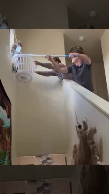 Вот и спасли