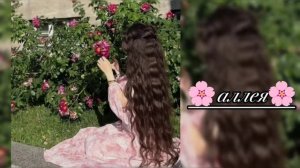 цыганская песня 🌸которою ищут все _ не та роза что за садом 🥀тири дума тути