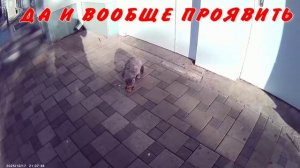 ТВОРИТЬ ДОБРО 18 10