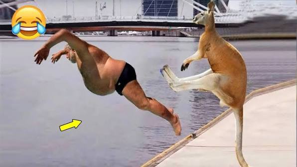 #281 || МЕМЫ || ПРИКОЛЫ || ЮМОР смотреть онлайн