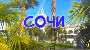 Город Сочи