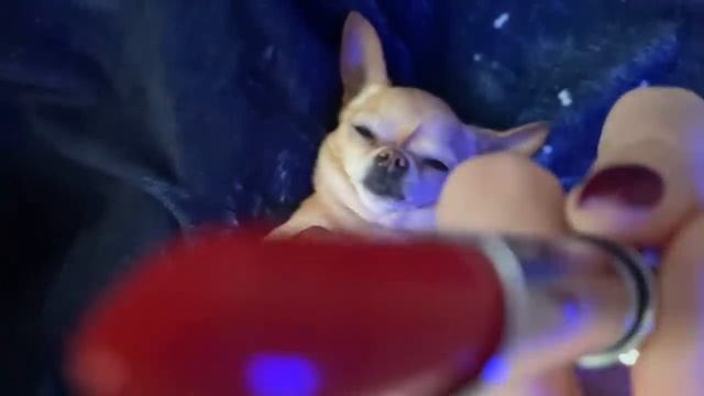 ASMR chaotic triggers that relax 🫠 смотреть онлайн