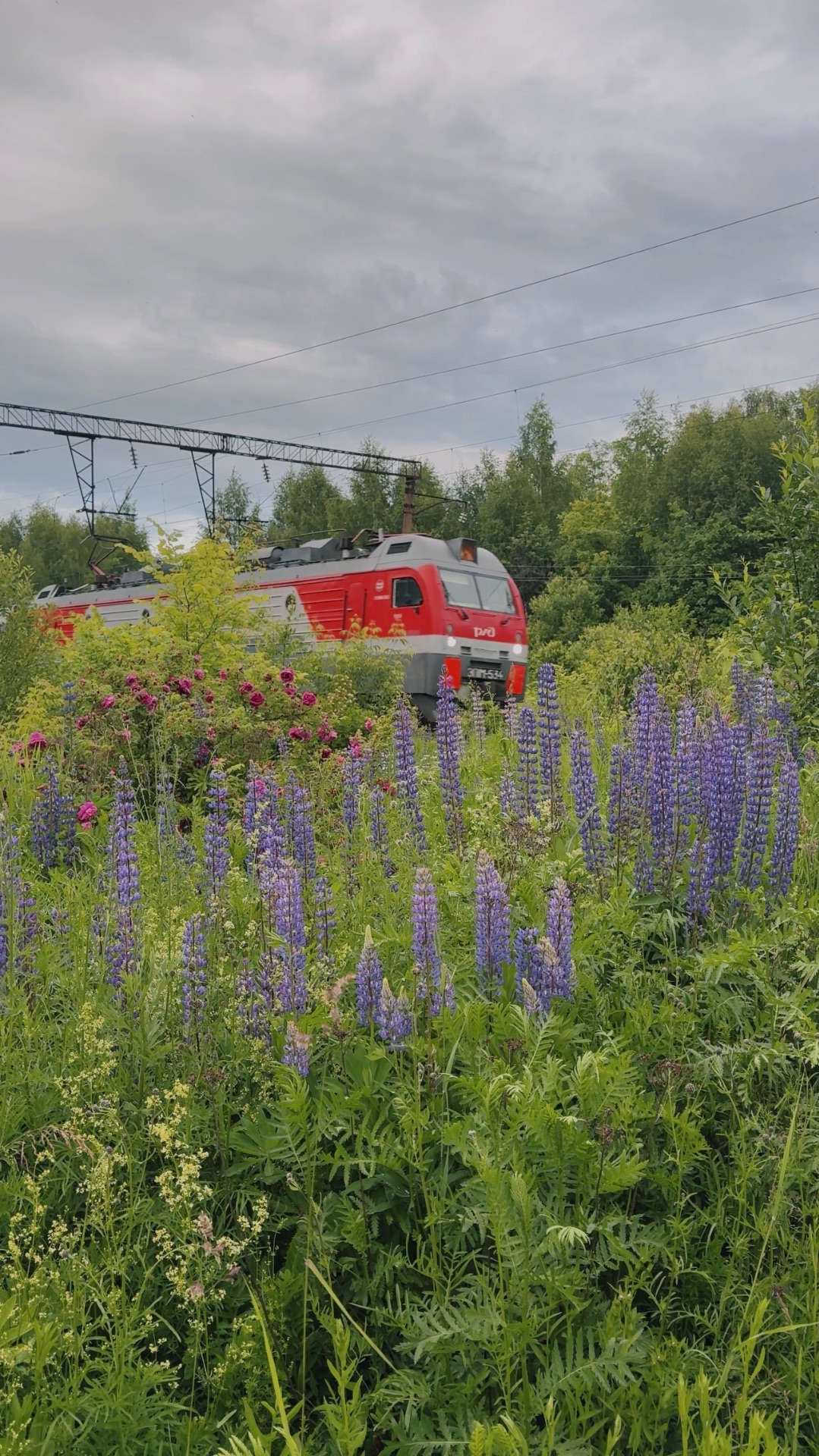 Пасмурный июньский день на железной дороге смотреть онлайн