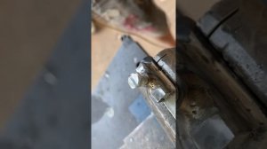 Обмен технологиями