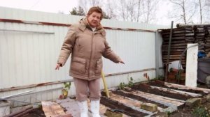 2 ноября 2025. Про сенную палочку, ремонтантную малину и так по мелочи.