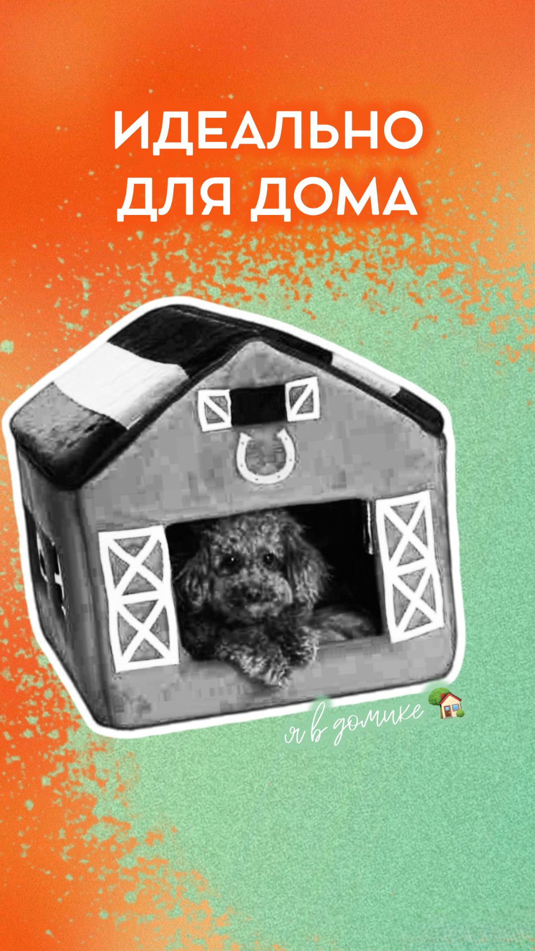 3 породы собак, которые идеально подходят для содержания в  доме.