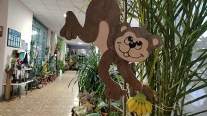 16-01-2026 Цветочный зал с потрясающими поделками 👍.