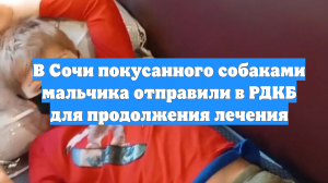 В Сочи покусанного собаками мальчика отправили в РДКБ для продолжения лечения