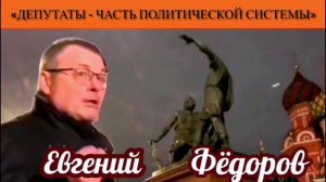 Евгений Фёдоров: «Депутаты - это часть политической системы»
