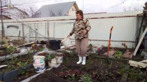 7 ноября 2025. Подготовка грядки для виктории.