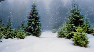 Лунный удар по судьбе 16 января. Как не упустить своё.