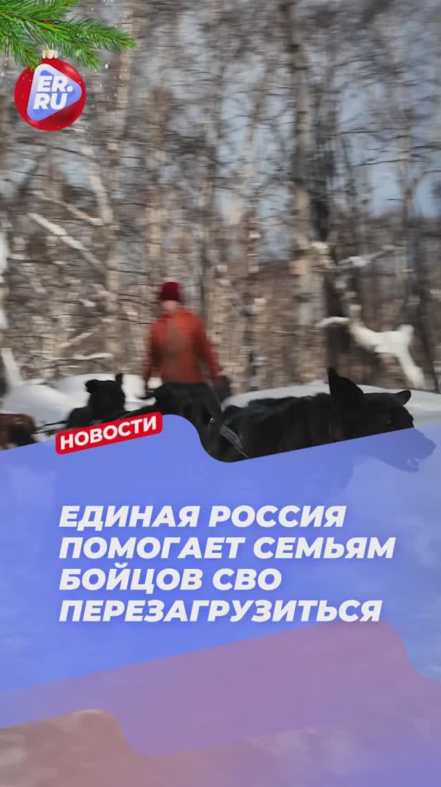 Активисты Единой России подарили семьям участников СВО день настоящей камчатской сказки смотреть онлайн