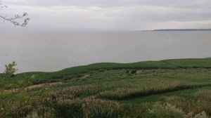 "Весенняя любовь"