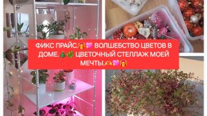 ФИКС ПРАЙС.🎁💖ВОЛШЕБСТВО ЦВЕТОВ В ДОМЕ.🎄🌼ЦВЕТОЧНЫЙ СТЕЛЛАЖ МОЕЙ МЕЧТЫ🎁💖.