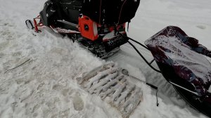 16 января 2026 г.Щука.