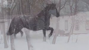 Георгий Свиридов Романс сюита Метель Гениальная музыка Будет звучать вечно @ЛюдмилаВанина-б2ю