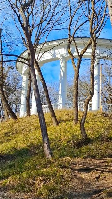 Ессентуки Курортный парк 16-01-2026