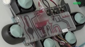 740 жителей Башкирии в прошлом году стали обладателями значка «Почетный донор»