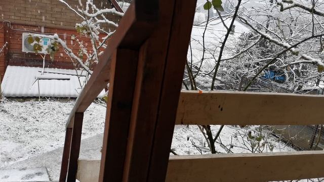 СОЧИ ГОРНОЕ ЛОО ВЕЧЕР 16.01.2026 смотреть онлайн