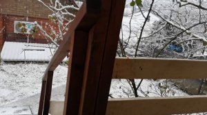 СОЧИ ГОРНОЕ ЛОО ВЕЧЕР 16.01.2026