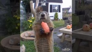 Скрытая камера 📷📸📷