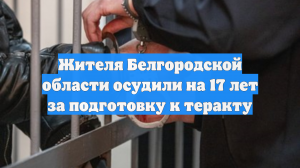 Жителя Белгородской области осудили на 17 лет за подготовку к теракту