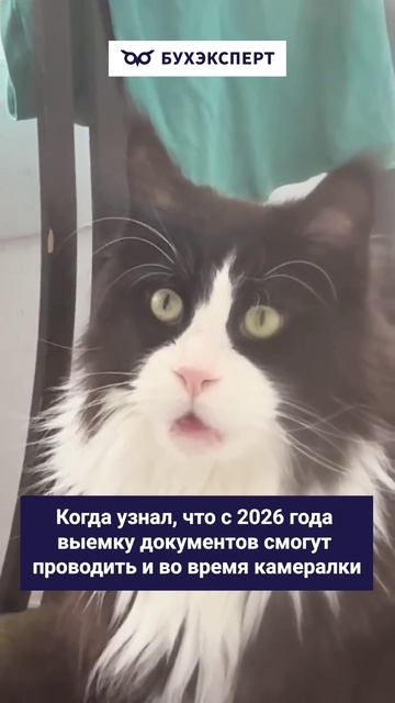 Когда узнал, что с 2026 года выемку документов смогут проводить и во время камералки #бухюмор смотреть онлайн
