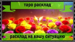 Таро расклад - на вашу ситуацию.