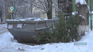 "Ёлки и палки": куда сдать главный новогодний атрибут?