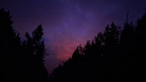 Работа десантников-пожарных